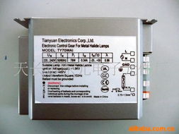 天長市東元電子元件廠鎮流器產品與電子元器件綜合指南